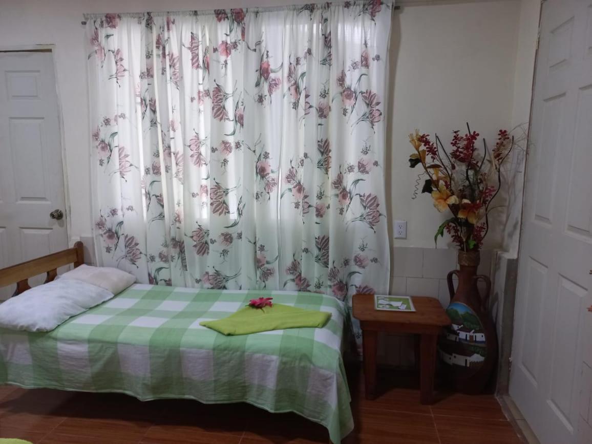 Hotel Margarita Sierpe エクステリア 写真