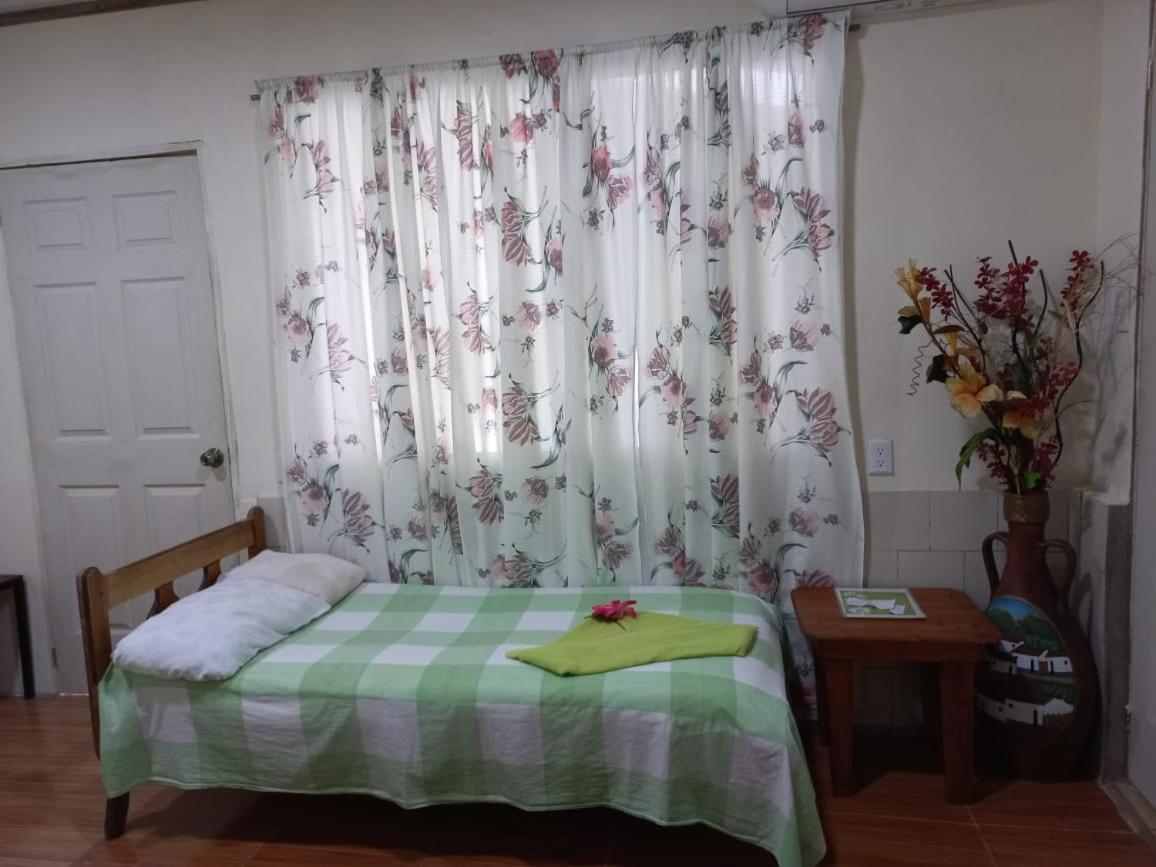 Hotel Margarita Sierpe エクステリア 写真