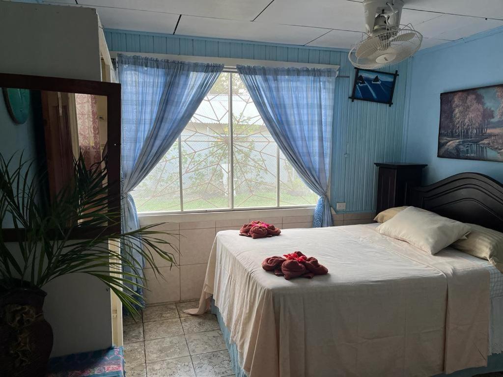 Hotel Margarita Sierpe エクステリア 写真