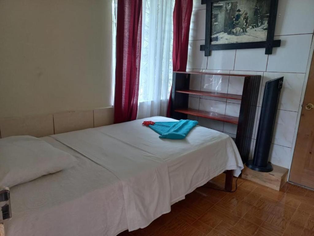 Hotel Margarita Sierpe エクステリア 写真